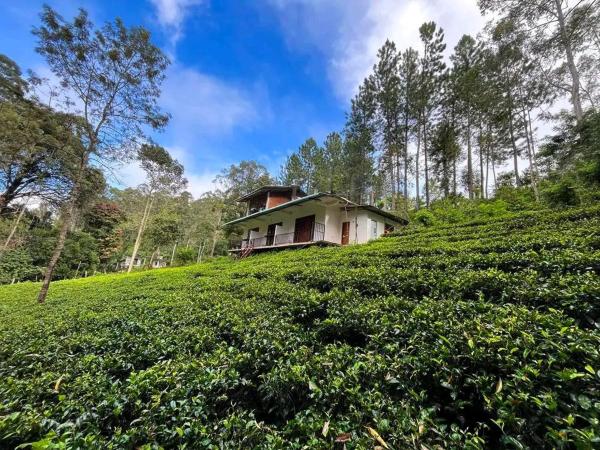 Green Wood Hotel, Buchen Sie Hotel Ella Sri Lanka