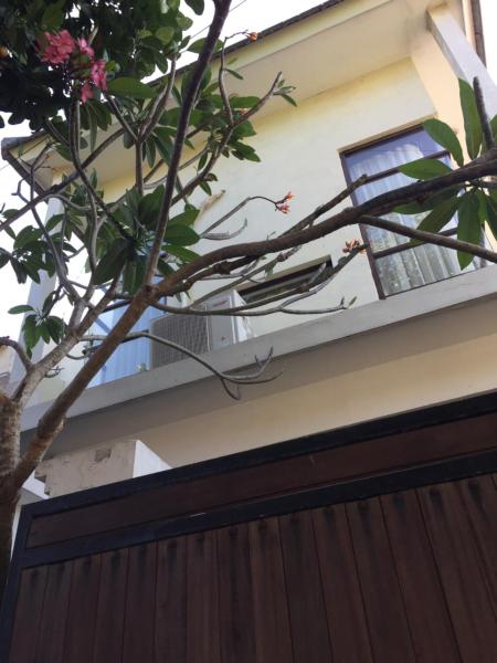 Villa Griya Harum, Buchen Sie  Sanur Kaja Denpasar