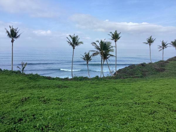 Balian Surf Villas