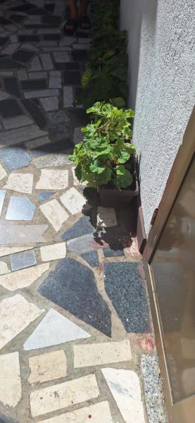 Apartman Villy 2, Book  Kvarner Hotels with a Parking, Parking