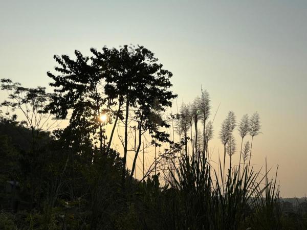 Teplong The Paix, Kaziranga National Park, Reserva ahora  Sakmuthi Assam