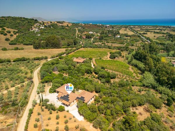 Euforbia Complex, Prenota  Santa Lucia Sardegna