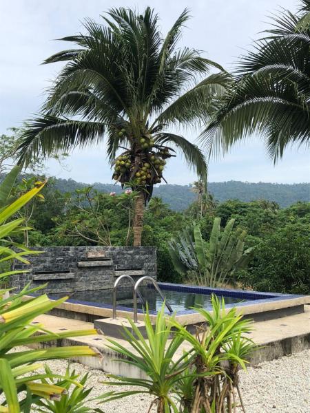 The Pura Rimba Residences Langkawi, Buchen Sie  Hotels mit Pool in Kedah, Schwimmbad