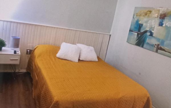 Mono gorlero, Reserva ahora  Punta del Este 