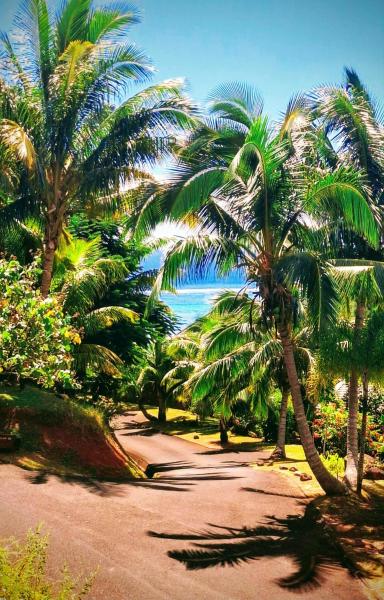 Villa Tropicale Opuhi, Reserva ahora  Hoteles con piscina en Moorea, Piscina