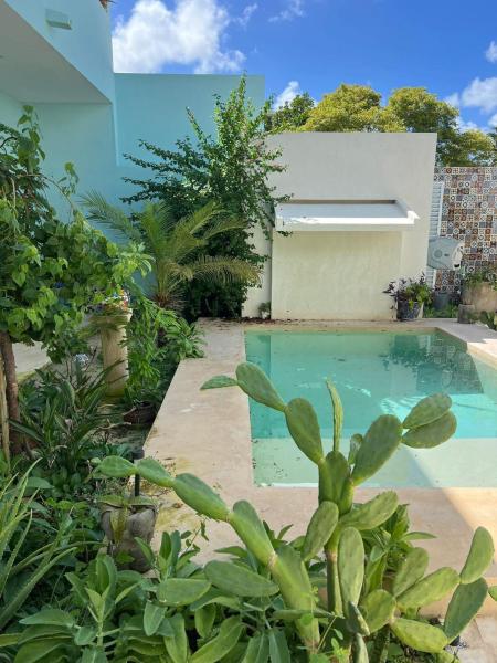 El Oasis, Prenota  Hotel con piscina a Yucatán, Piscina