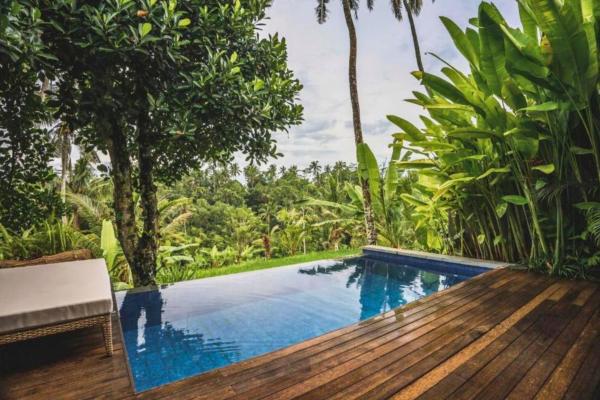 Asheeqa Lush Garden 1 BR Private Pool Villa ZN379, Reserva ahora  Hoteles con piscina en Bali, Piscina