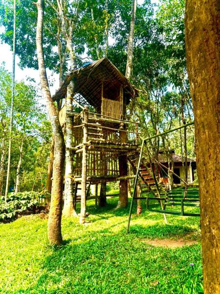 Rendezvous Jungle Resort, Prenota  Hotel a Kerala con piscina, Piscina