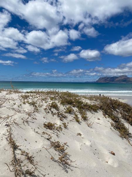 Muizenberg Sea Search Self Catering, Buchen Sie  Hotels in Muizenberg mit Parkplatz, Parkplätze