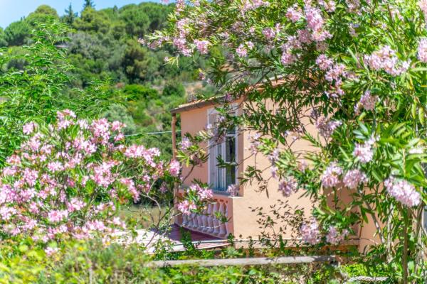 Acquariese - Casa Margot e Casa Giotto, Reserva ahora  Hoteles en Elba con aparcamiento, Aparcamiento