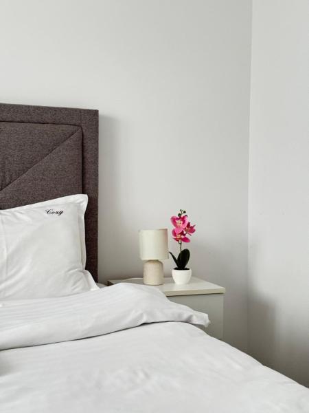 Premium Palas Mall Apartments - City Center iasi, Prenota Appartamento Iasi Romania, vicino a Golia Monastery