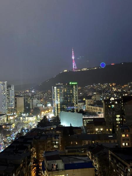 Comfortable Apartment In Tbilisi, Prenota Appartamento Tbilisi Tbilisi Region
