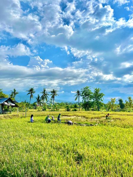 Rumi Bumi - Lovina Rice Terrace Retreat, Reserva ahora  Hoteles en Buleleng con aparcamiento, Aparcamiento