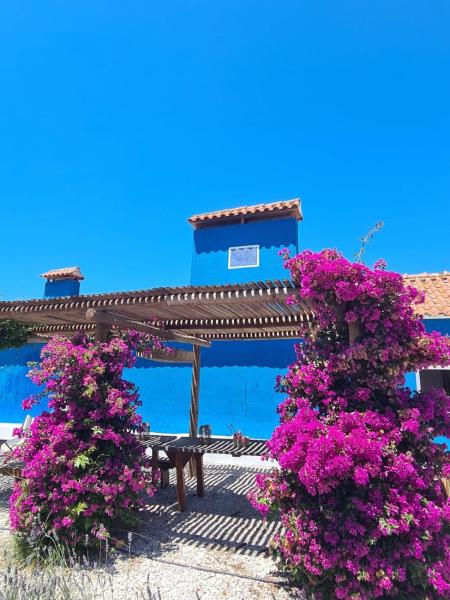CasAzul Slow Stay in Nature, Book  Centro Hotels with a Pool, Swimming Pool