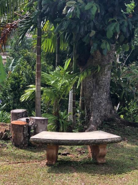 Agapantha Cottage, Prenota Casa vacanze Mandeville 