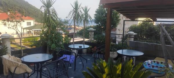 Djordjevic, Book  Budva 