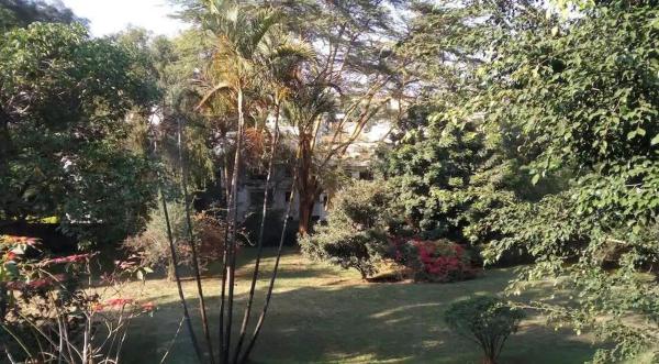 The Botanical 1 bedroom Bungalow, Buchen Sie  Nairobi CBD Nairobi