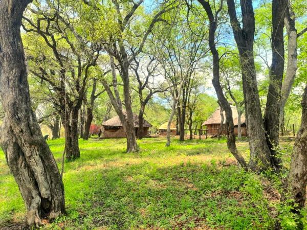 River Range Camp, Buchen Sie  Pandamatenga Simbabwe