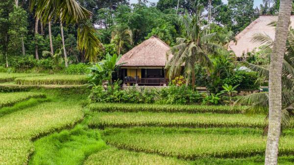 Imperial Villa in Ubud - Majestic Beauty and Nature, Reserva ahora  Hoteles con piscina en Bali, Piscina