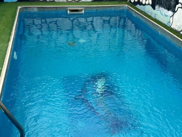 villa avec piscine, Prenota  Hotel a Abidjan con piscina, Piscina