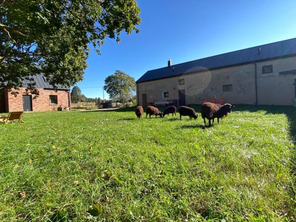 Siedlisko Białe Błota, Reserva ahora  Skorzewo Pomerania