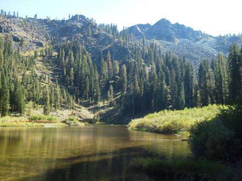 Coffee Creek Ranch, Prenota  Trinity Center California