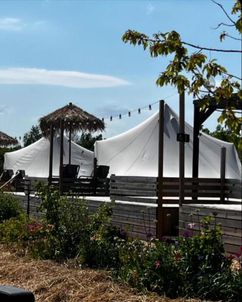 Vättervy Glamping, Prenota Campeggio Campeggi a Jonkoping, Campeggio