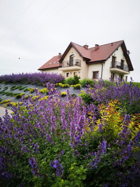 Apartamenty, Zielone Wzgórze Wiktora w Mikołajkach, Réserver  Mikolajki 