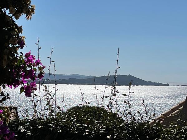 Villa Bougainville, Réserver  Porticcio 
