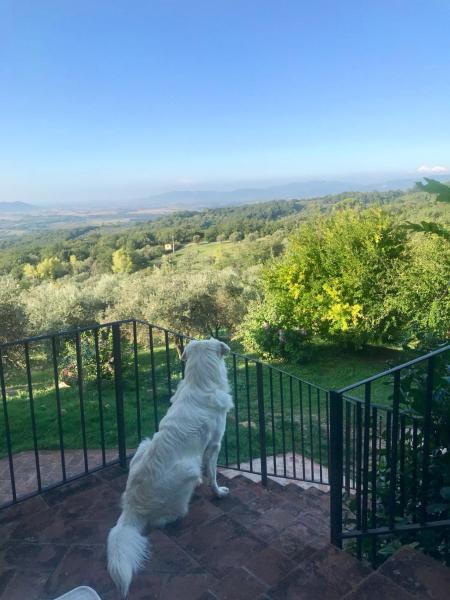 Agriturismo Campo al Crognolo, Buchen Sie  Sassofortino Toskana