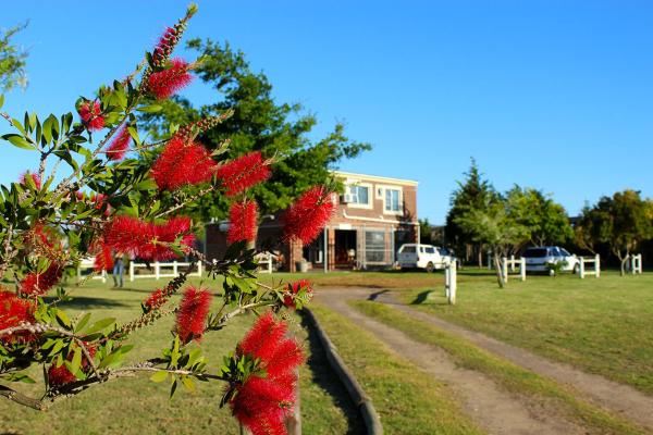African Adventures Accommodation, Prenota  Joostenberg Vlakte Western Cape