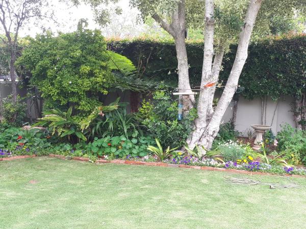 Lavender Garden Cottage, Buchen Sie  Port Elizabeth Central 