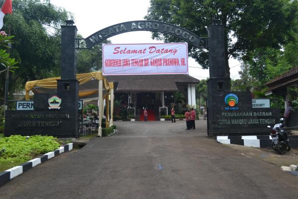 Agro Wisata Tlogo & Resort