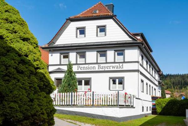 Pension Bayerwald mit Ferienwohnung, Book  Bavaria Hotels with a Parking, Parking