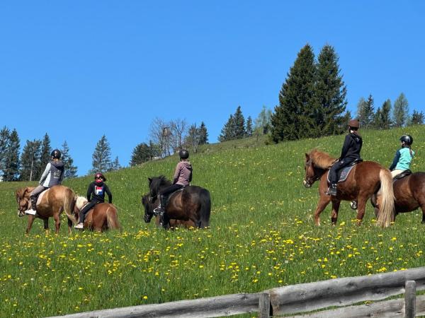 Oberegghof, Reserva ahora  Wagrain 
