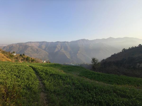 Corn Village Retreat, Book  Mussoorie 