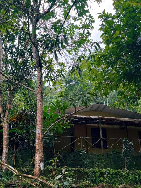 Hidden Escape Eco-Stay, Prenota  Hotel a Kerala con piscina, Piscina