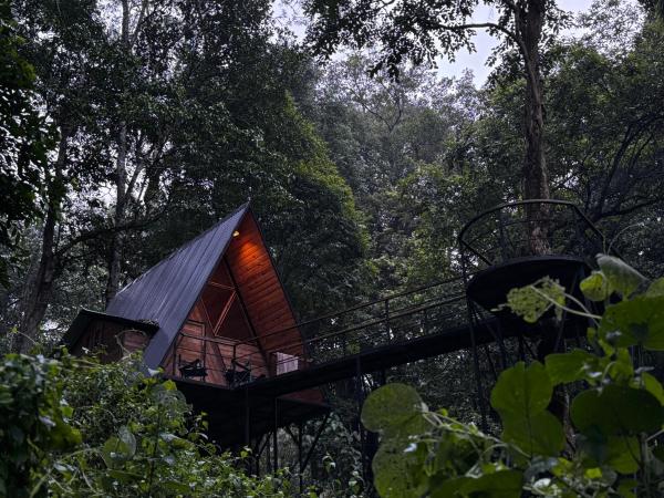 Wildvibes India, Reserva ahora  Meppādi Wayanad