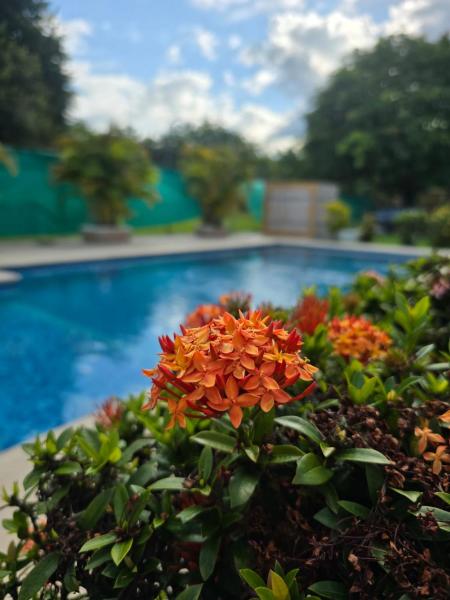 Cabañas la Familia, Prenota  Nueva Gorgona Panama