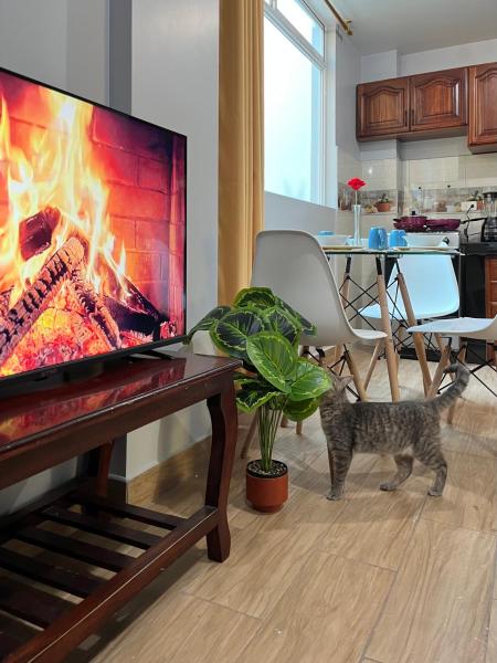 Apartamento 2 Casita Cozy Otavalo Ec, Prenota  Otavalo Imbabura