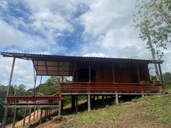 Casa flor da floresta, Prenota   