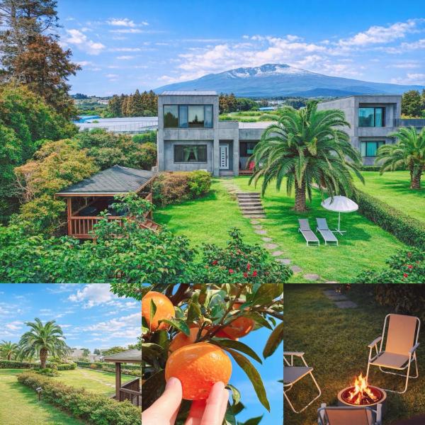 동홍별장 Fantastic Tangerine Orchard, Hallasan View, Private Villa for One Team Only, Large BBQ, Toddler Hot Spring Pool, Large Family, Top Rated Location, Prenota  Seogwipo Isola di Jeju