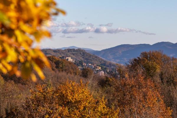 Alloggi agrituristici Paraschos, Reserva ahora  Hoteles en Véneto con aparcamiento, Aparcamiento