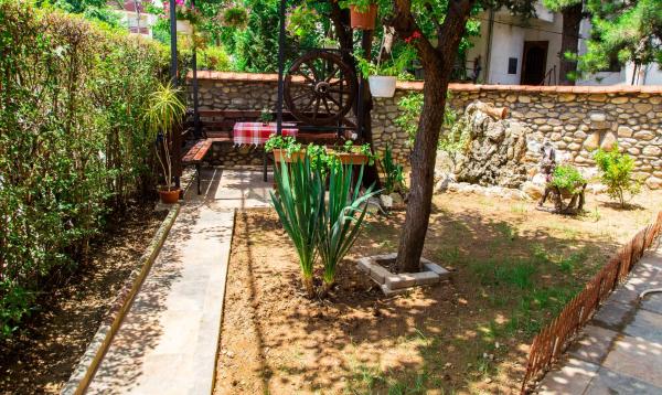 The Comfy Hostel