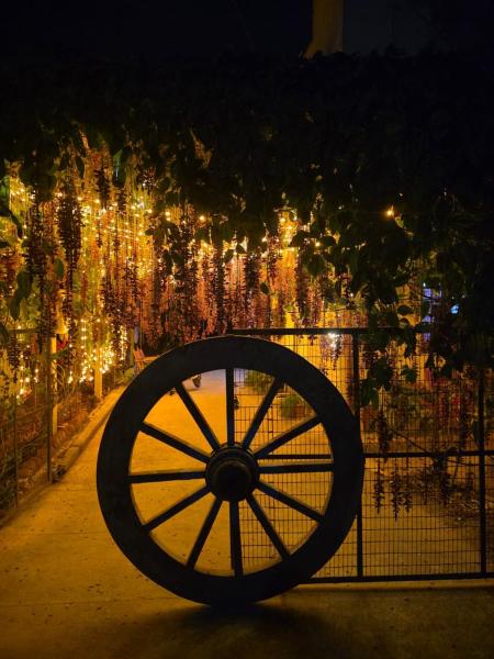 ARIVU Homestay, Réserver  Chikmagalūr Karnataka
