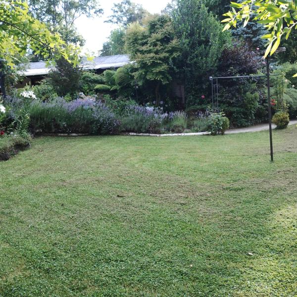 Cabaña Petalos Villarrica bungalows 3 personas, Prenota  Hotel a Araucanía con parcheggio, Parcheggio