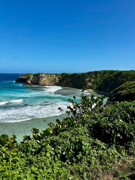 D O M A I N E - D E - L\ A N S E - P I S T O L E T - Proche Grande Vigie, Vue Unique, Prenota  Anse-Bertrand Grande-Terre