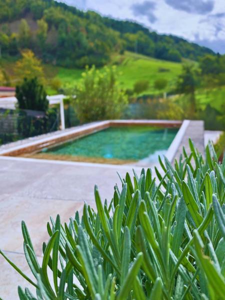 Villa River\s View Private Swimming Pool & Spa citycenter on foot, Buchen Sie  Modigliana Region Ravenna
