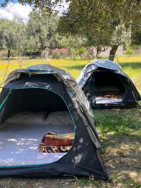 Waveside Camping, Buchen Sie  Hotels in Qark Vlora mit Parkplatz, Parkplätze