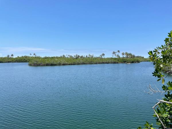 Prueba1, Prenota  Tintipan Island Bolivar